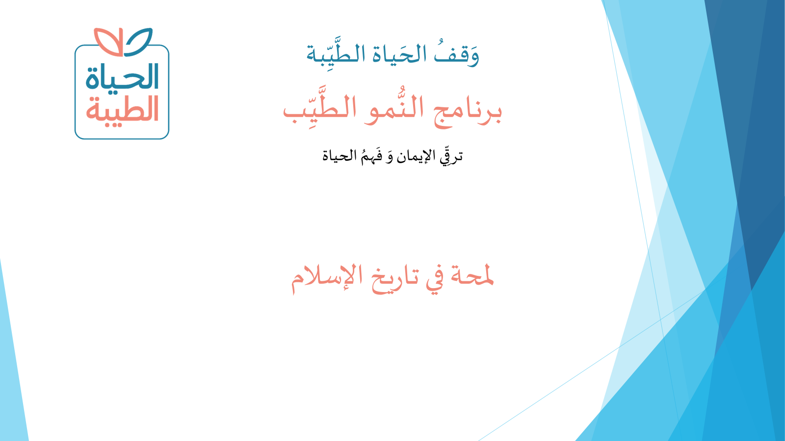 لمحة في تاريخ الإسلام